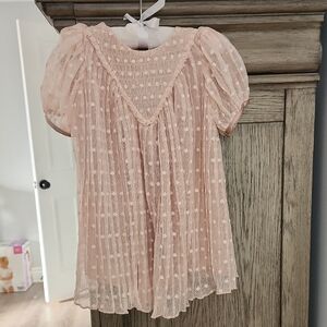 Zara Light Pink Sheer Blouse